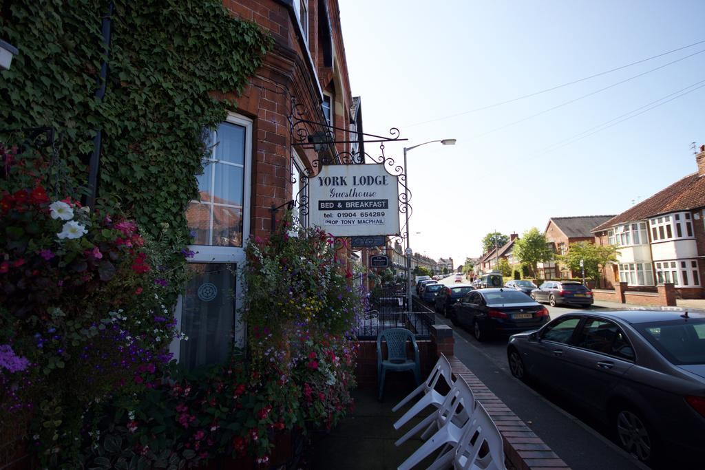York Lodge Guesthouse Buitenkant foto